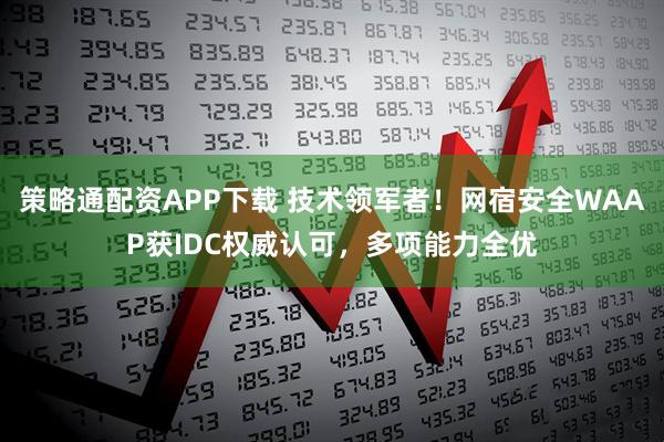 策略通配资APP下载 技术领军者!网宿安全WAAP获IDC权威认可,多项能力全优